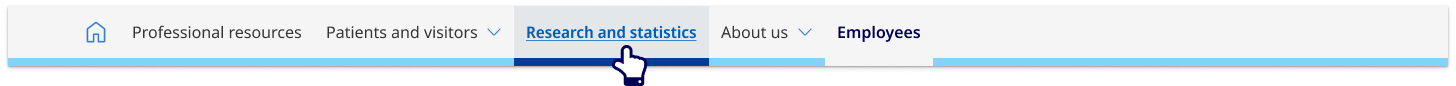 Example of primary horizontal navigation
