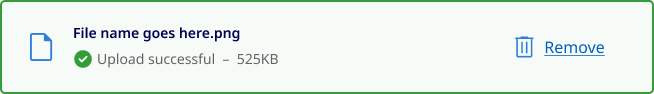 Example of file status component showing the upload successful state.