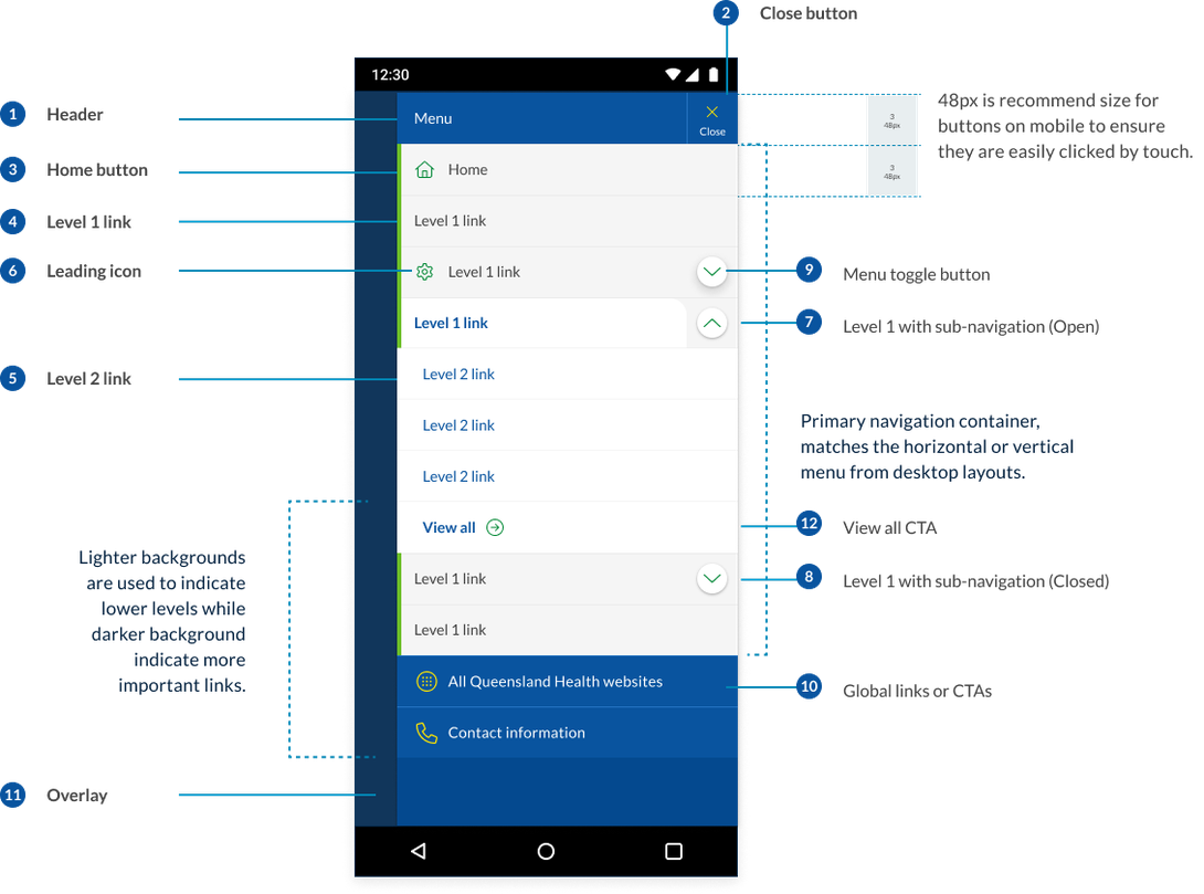 mobile anatomy